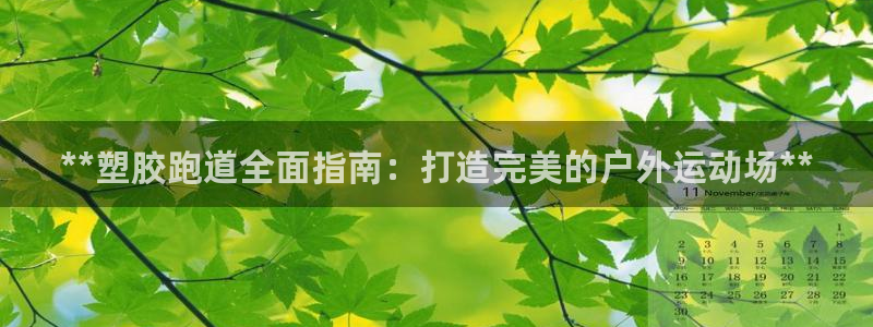 尊龙人生就是博官方官网：**塑胶跑道全面指南：打造完