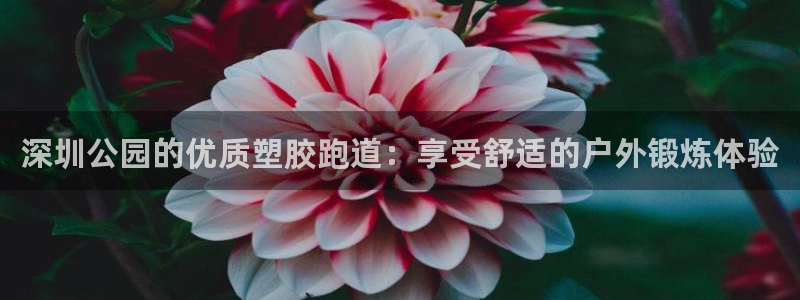 尊龙凯时合法吗?：深圳公园的优质塑胶跑道：享受舒适的