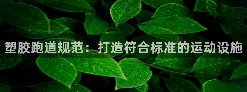 尊龙d88ag官方网站：塑胶跑道规范：打造符合标准的