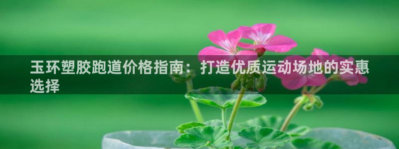 尊龙手机客户端下载：玉环塑胶跑道价格指南：打造优质运