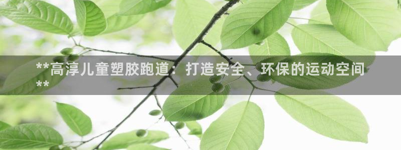 尊龙凯时官网正规吗：**高淳儿童塑胶跑道：打造安全、环保的运动空间
**