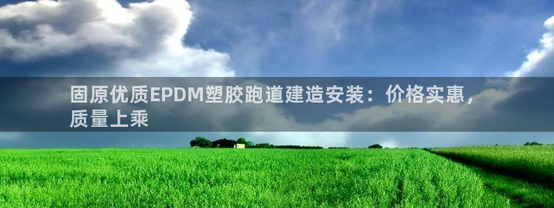 尊龙凯时是哪个国家的：固原优质EPDM塑胶跑道建造安装：价格实惠，
质量上乘