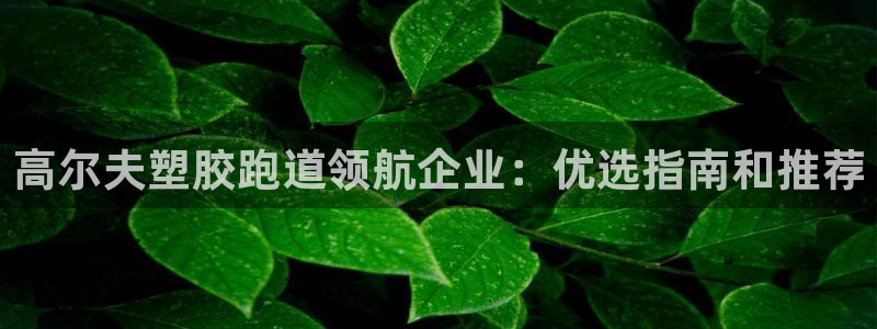 凯时官网app下载官方网站：高尔夫塑胶跑道领航企业：