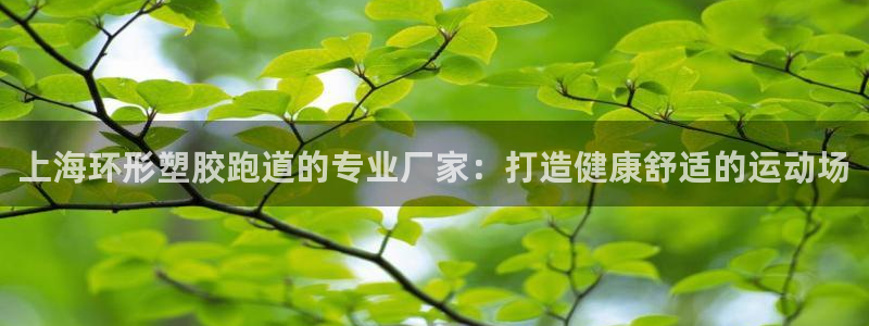 尊龙最新版：上海环形塑胶跑道的专业厂家：打造健康舒适