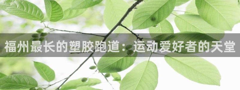 尊龙官网手机版：福州最长的塑胶跑道：运动爱好者的天堂