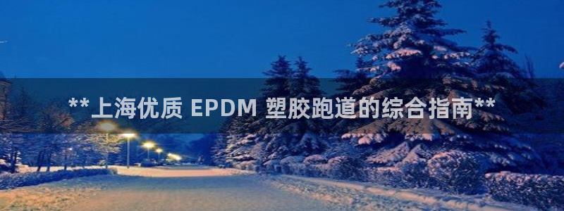 尊龙凯时新闻：**上海优质 EPDM 塑胶跑道的综合