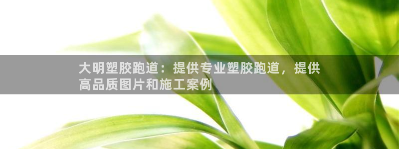 尊龙 ag：大明塑胶跑道：提供专业塑胶跑道，提供
高品质图片和施工案例