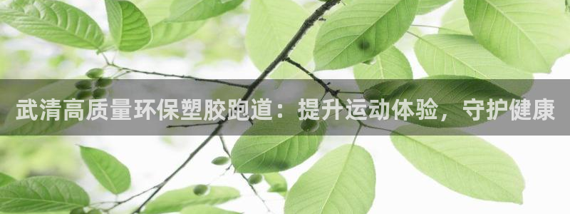 尊龙凯时客服：武清高质量环保塑胶跑道：提升运动体验，守护健康