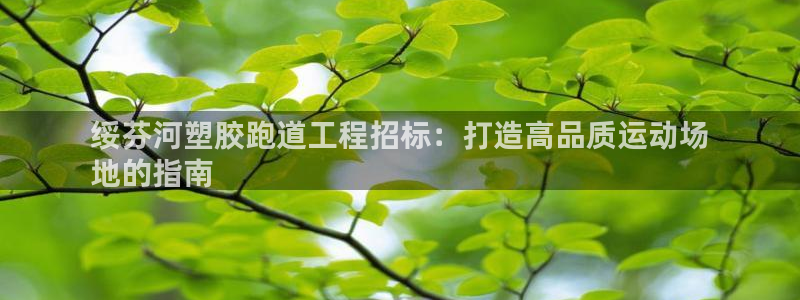 尊龙凯时取款一直支付中：绥芬河塑胶跑道工程招标：打造高品质运动场
地的指南